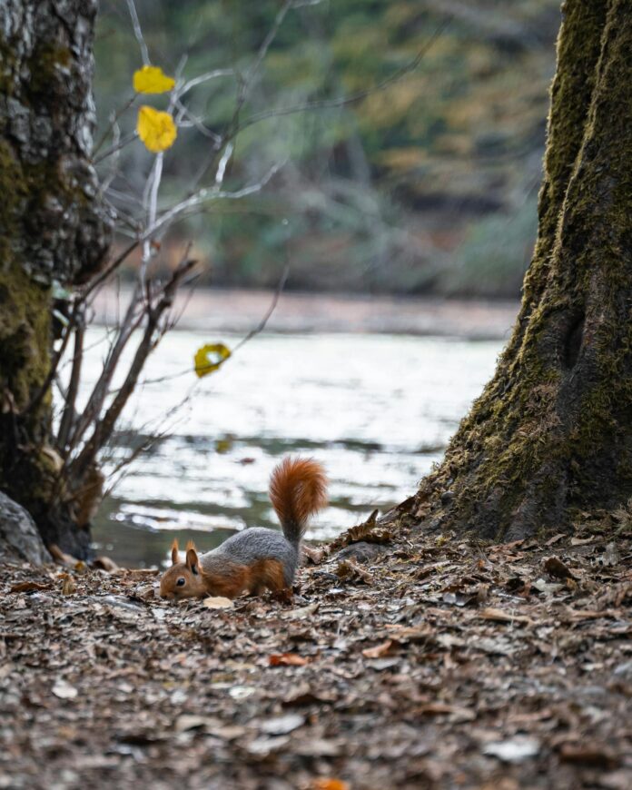 Boutique Environmental Law Firms