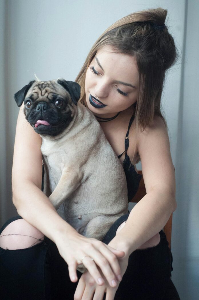 woman with dog - photo alongside article about animal rights in a divorce